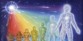 Le Créateur – Rester ou Bouger